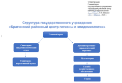 Структура учреждения