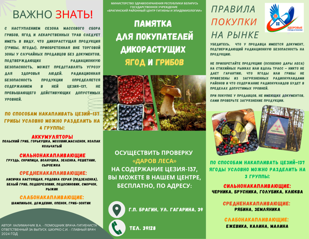 Важно знать! Памятка для покупателей дикорастущих грибов и ягод